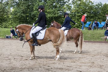 Bild 627 - Pony Akademie Turnier